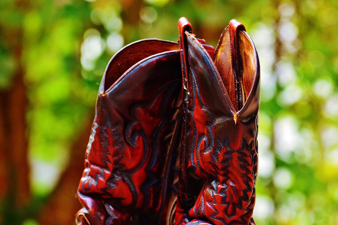 Cowboystiefel,