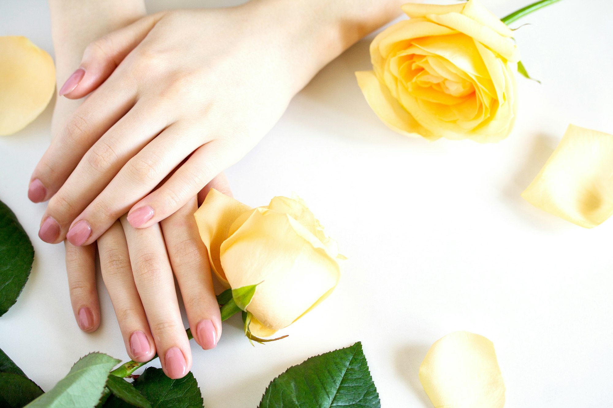 Beautiful manicured woman's nails with pink polish isolated. Nails care. Manicure.