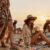 Boho Sommerurlaub 2026